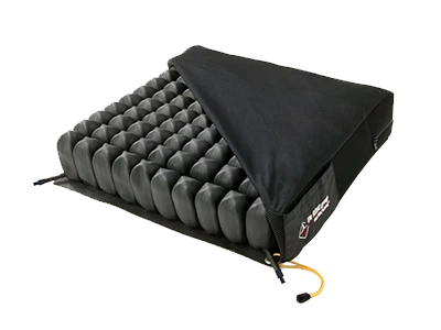 Dual Compartment Cushion